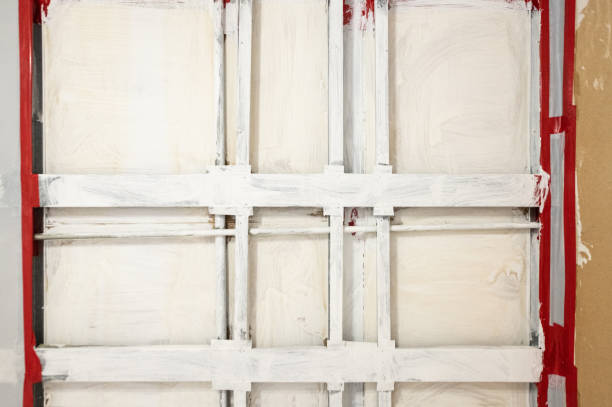 Professional Mold Removal in Brown City, MI